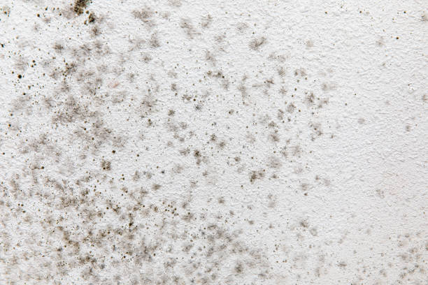 Best Indoor Air Quality Assessment  in Obetz, OH
